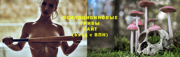наркотики Гусиноозёрск