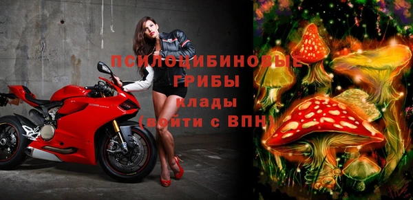 марки lsd Дмитровск