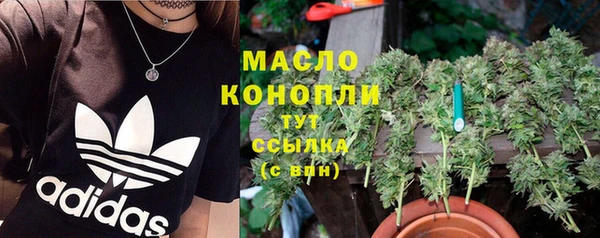 jwh Гусь-Хрустальный
