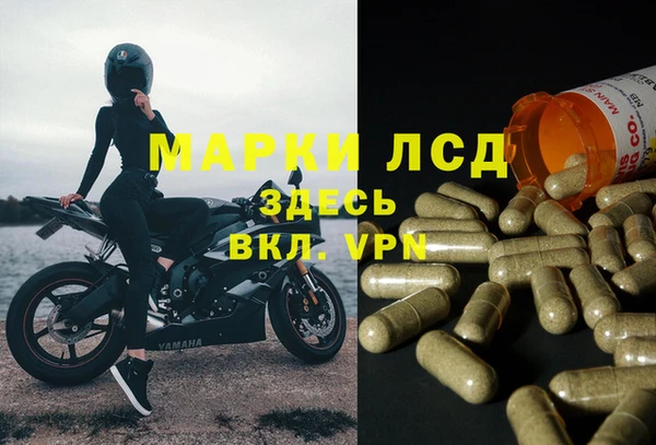 ALPHA-PVP Гусев